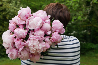The Girls Are Back In Town: Why We Love The Arrival Of Peony Season