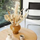 Ivory Muse Dried Flowers