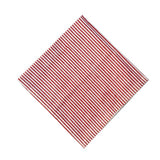 Scarlet Stripe Block Print Napkins – Set of 2 Handcrafted Cotton Napkins