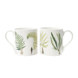 Laura Stoddart Fabulous Ferns Bone China Large Mug
