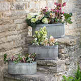 Oval metal planters