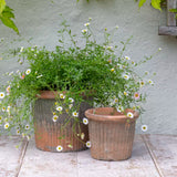 Redstone ribbed pots