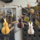 Box of Six Easter Bunnies