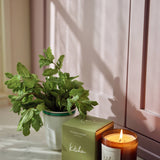 Plum & Ashby Kitchen Candle