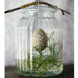 Meja Clear Ribbed Vase