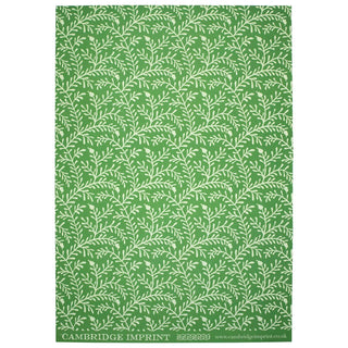 Cambridge Imprint - Gift Wrap Paper Sprig Pea Green
