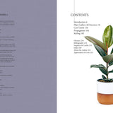 Plant: Houseplants – Choosing, Styling & Caring