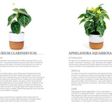 Plant: Houseplants – Choosing, Styling & Caring