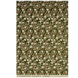 Gift Wrap Paper Ivy Swamp Green And Orange by Cambridge Imprint