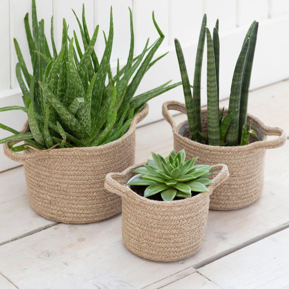 jute pots for plants Jute Woven Plant Pots – Natural Decorative Indoor Planter Baskets – Mad Lilies