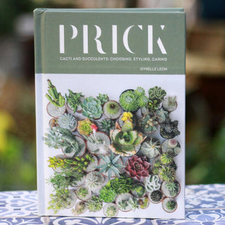 PRICK: Cacti and Succulents (HB)