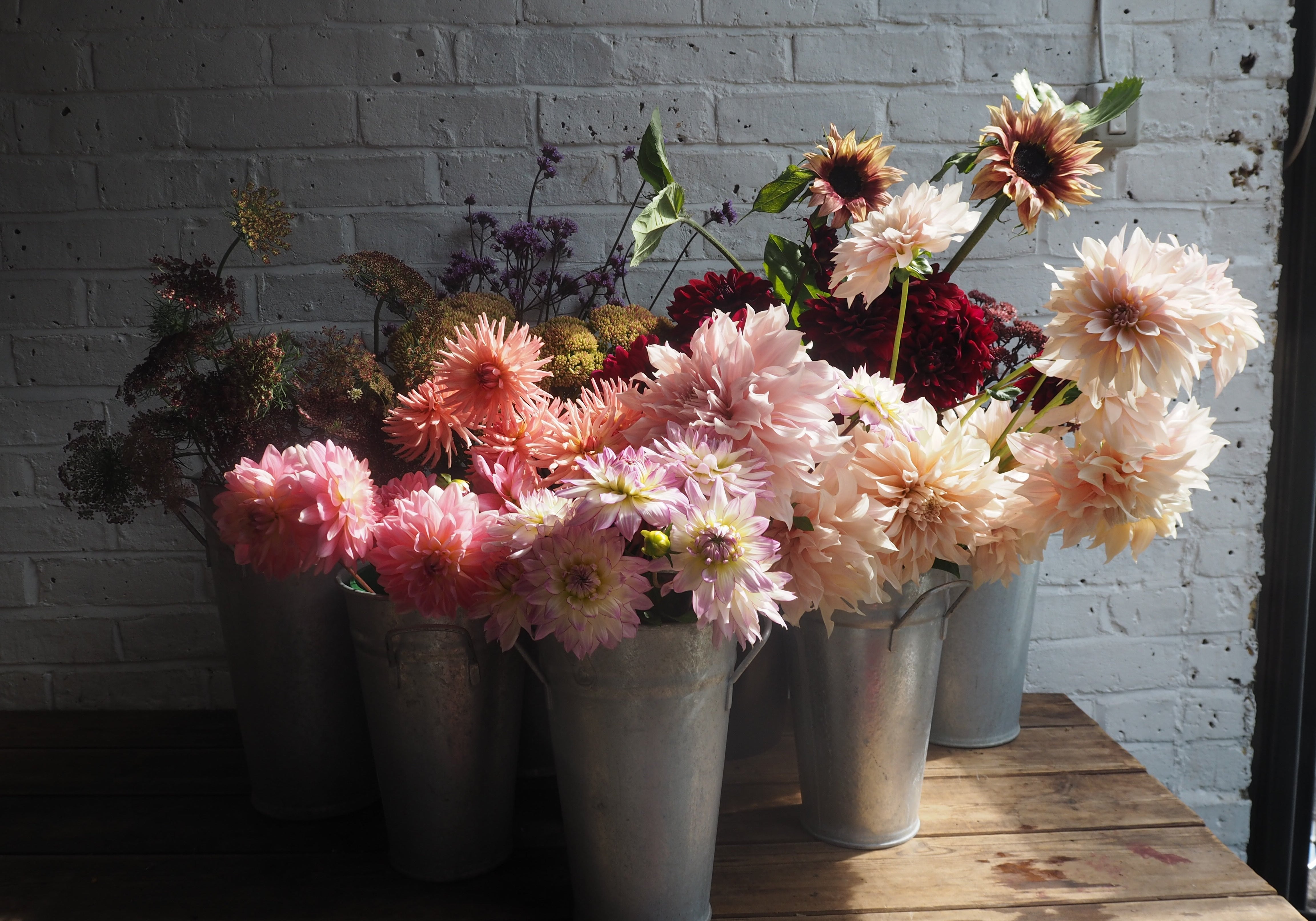 A flower-filled bucket overflowing with colourful seasonal dahlias at Mad Lilies florist in Banstead, Surrey.