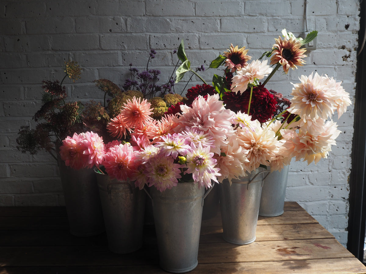 A flower-filled bucket overflowing with colourful seasonal dahlias at Mad Lilies florist in Banstead, Surrey.