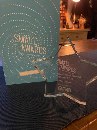 We've Won National 'High Street Hero' in The Small Awards!