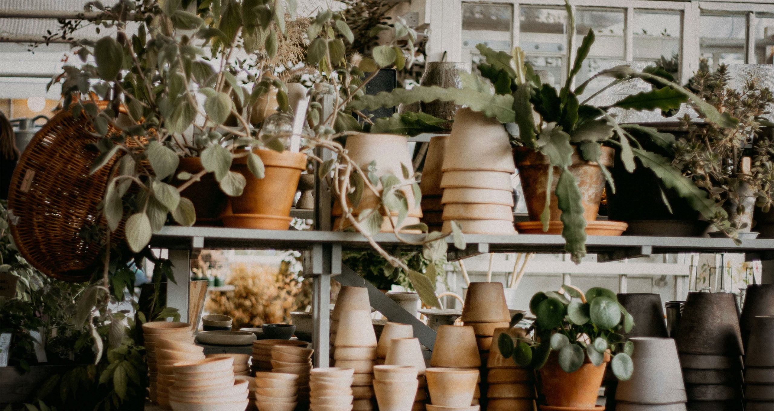 Plant Pots & Urns