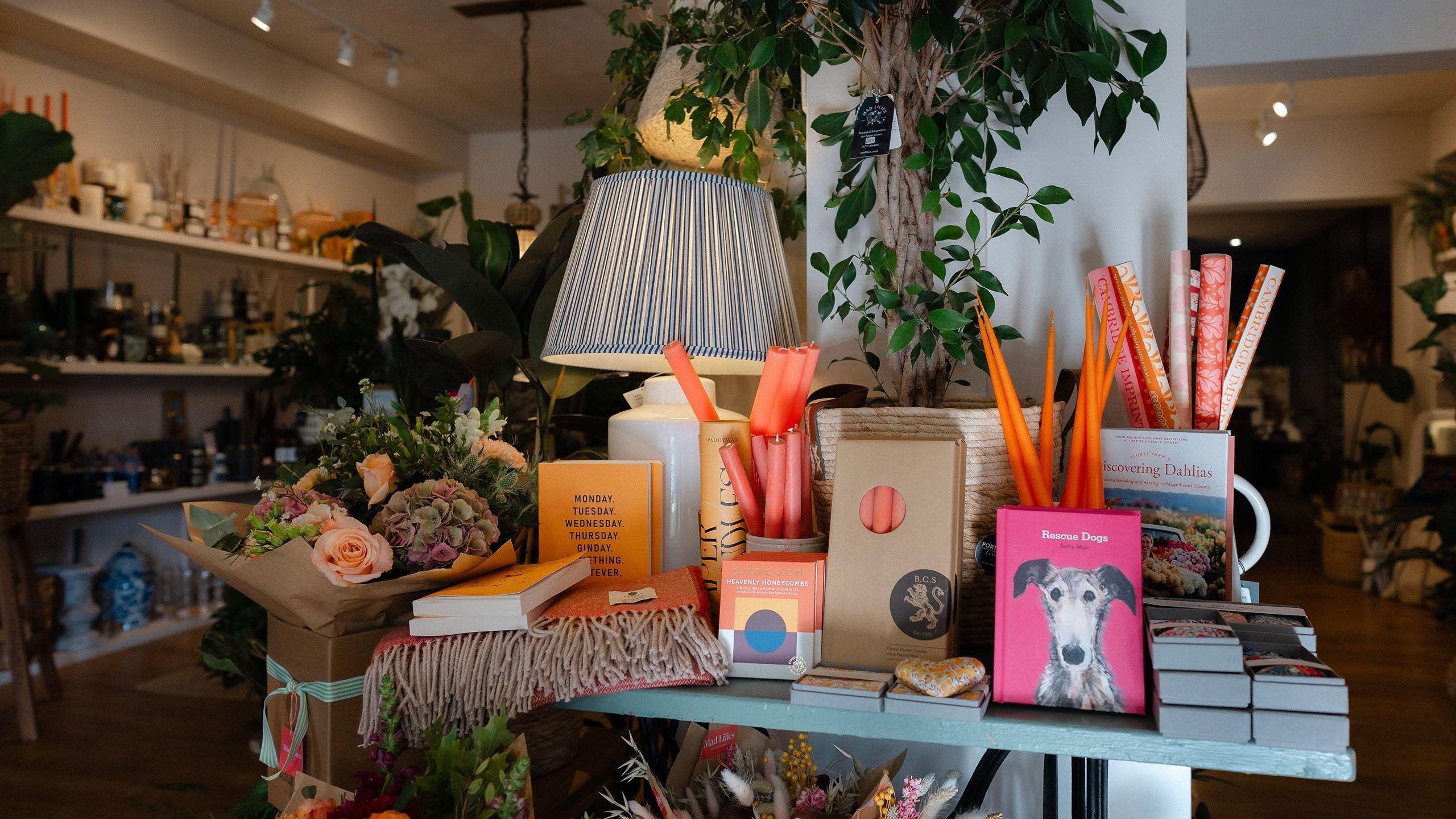 Lamps and Pendant Shades