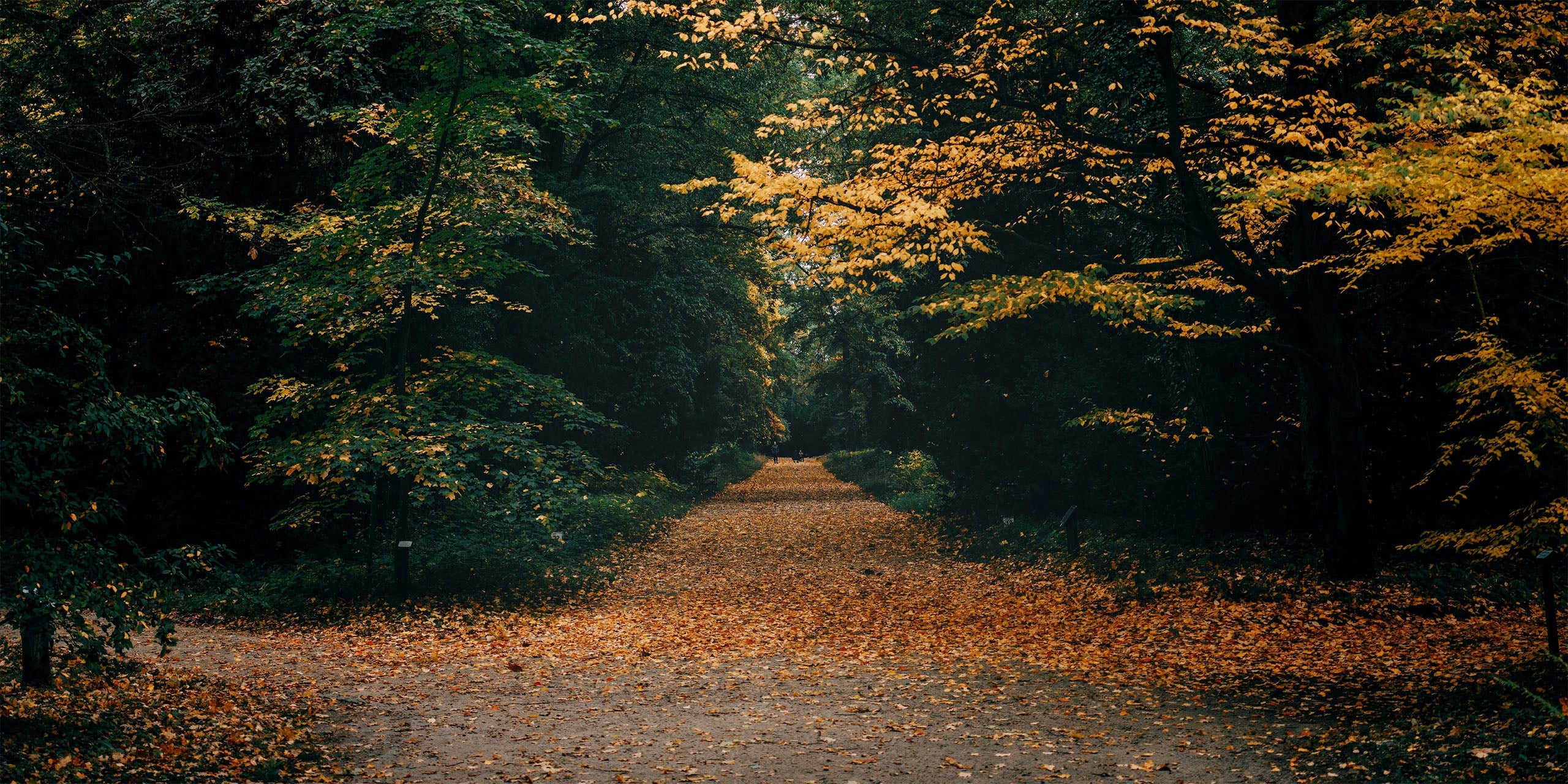 The October Edit