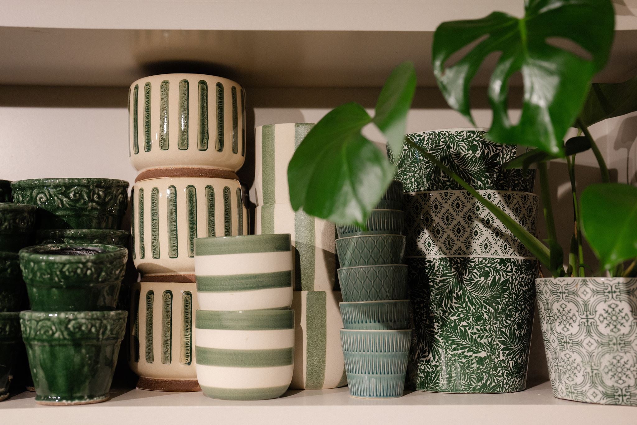 Discover beautiful plant pots and planters at Mad Lilies. Shop decorative ceramic pots, terracotta planters and stylish designs for indoor and outdoor plants.