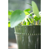 Frances Pot with Saucer