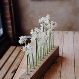 Flower Stem Keeper – Effortless Display for Seasonal Flowers at Home