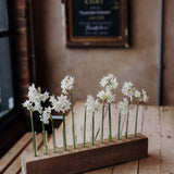 Flower Stem Keeper – Effortless Display for Seasonal Flowers at Home