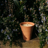 St. Eval Bay & Rosemary Potager Pot