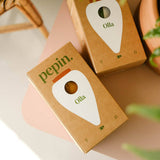 Pepin Terracotta Olla | Self-Watering Terracotta Plant Watering System