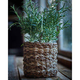 Belle Stripe Wavy Basket