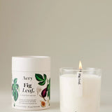 Aery Fig Leaf Scented Candle - Black Fig Vetiver & Cedarwood