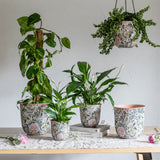 Maisie Vintage Pattern Blush Olive