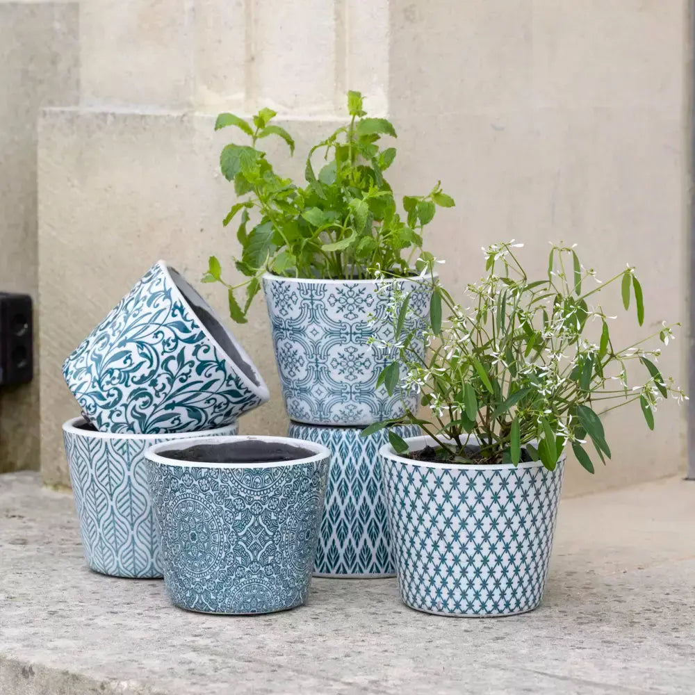 succulent plant pots uk Rustic Succulent Planter – Mad Lilies
