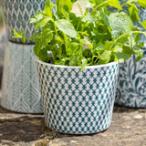 Teal Glazed Terracotta Dutch Plant Pots 14cm