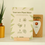 Pepin Terracotta Olla | Self-Watering Terracotta Plant Watering System