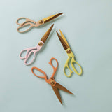 Scissors – Premium Stainless Steel Desk & Craft Scissors