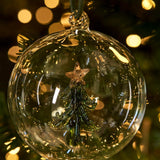 A Little Forest for the Christmas Tree
