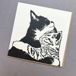 Penguin Ink Cuddle Time letterpress greeting card featuring two cuddling kittens, printed on 100% recycled board with a tactile embossed finish.