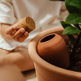 Pepin Terracotta Olla | Self-Watering Terracotta Plant Watering System