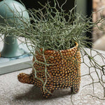 Textured tortoise plant pot