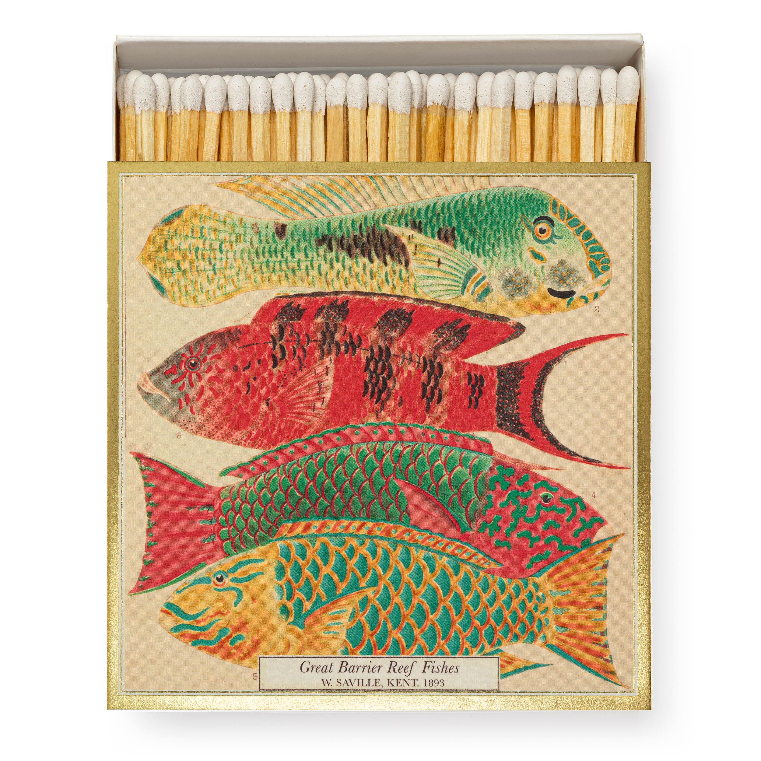 William Sackville Kent Great Barrier Reef Fish Box of Matches