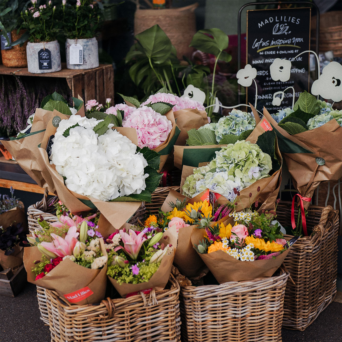 Local Cobham Florist Same Day Flower Delivery in Cobham Mad Lilies
