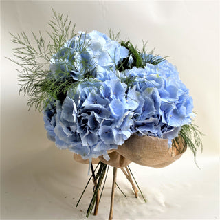 Powder Blue Hydrangea En Mass