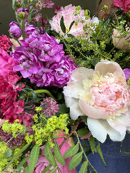 Bouquet of colorful flowers including pink, purple, and white.