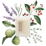 Branche d’Olive Garrigue Boxed Scented Candle