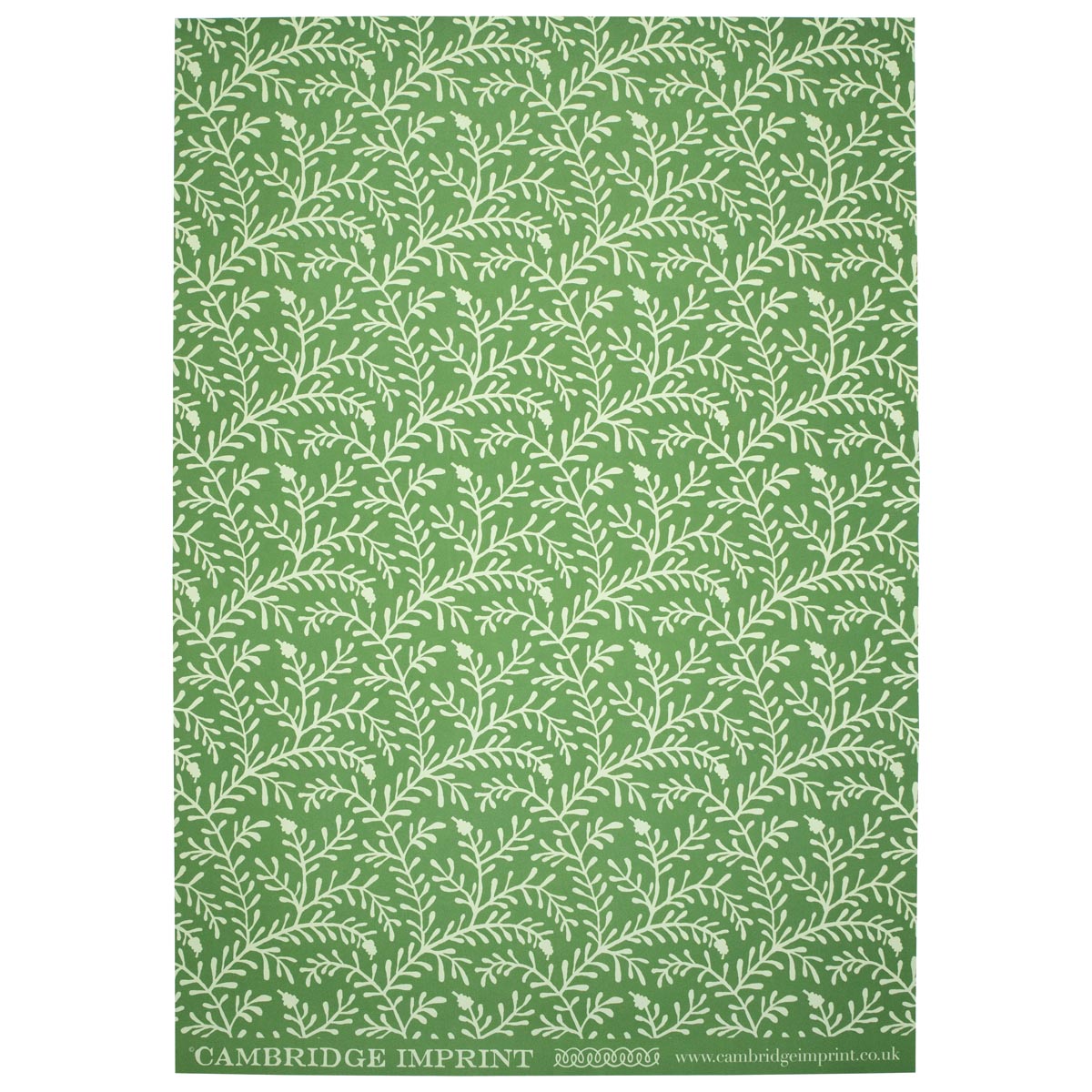 A sheet of Cambridge Imprint gift wrap paper with a green floral pattern.