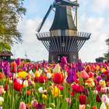 Lonely Planet Dream Trips of Europe