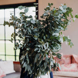 Eucalyptus en Masse – Fresh Seasonal Stems