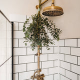 5 Ways with Eucalyptus Workshop - Thursday, 17th October 6.30pm - 8.30pm