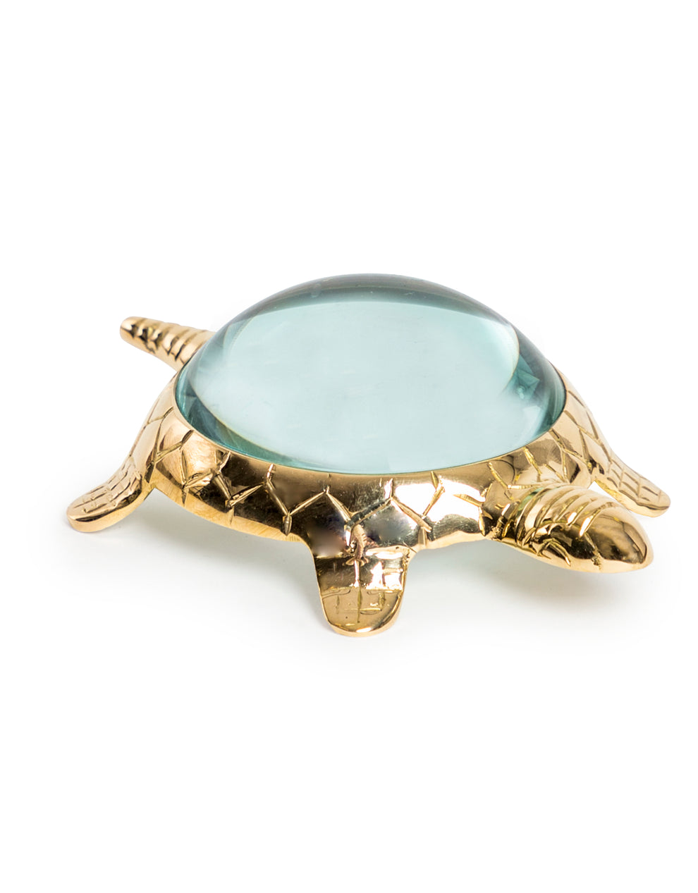 Gold turtle figurine with a clear magnifying glass