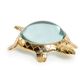 Gold turtle figurine with a clear magnifying glass