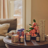 Plum & Ashby Festive Spice & Clementine Scented Candle